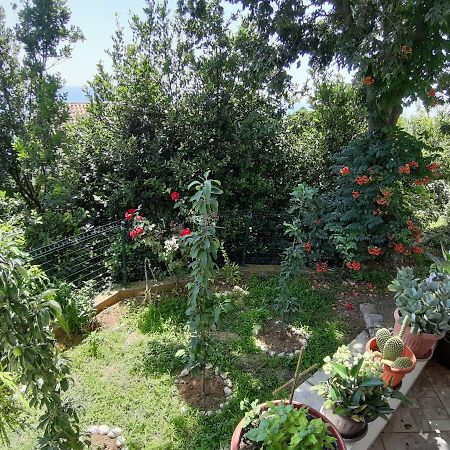 Vesna Apartments Ulcinj Exterior photo