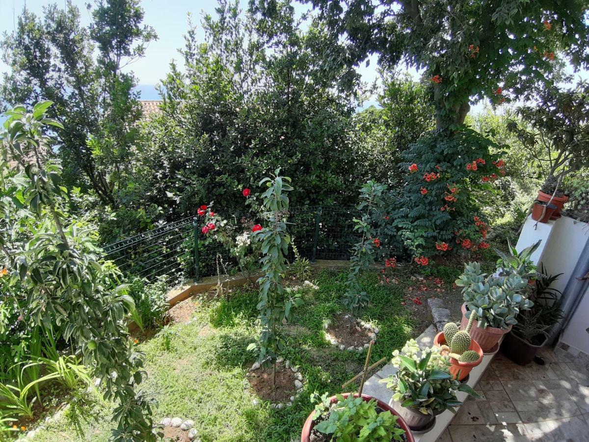 Vesna Apartments Ulcinj Exterior photo